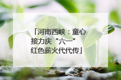 河南西峡：童心接力庆“六一” 红色薪火代代传