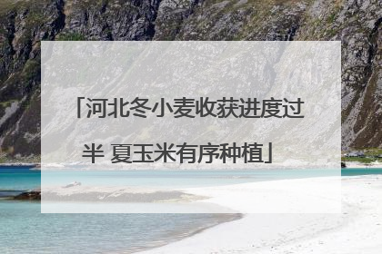 河北冬小麦收获进度过半 夏玉米有序种植