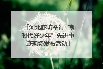 河北廊坊举行“新时代好少年”先进事迹现场发布活动