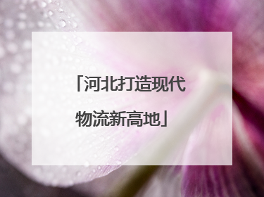 河北打造现代物流新高地