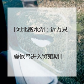 河北衡水湖：近万只夏候鸟进入繁殖期