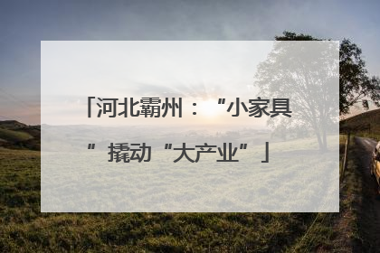河北霸州：“小家具”撬动“大产业”