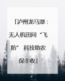 泸州龙马潭：无人机田间“飞防” 科技助农保丰收