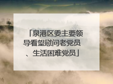 泉港区委主要领导看望慰问老党员、生活困难党员