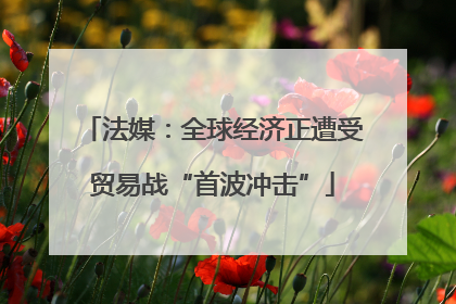 法媒：全球经济正遭受贸易战“首波冲击”