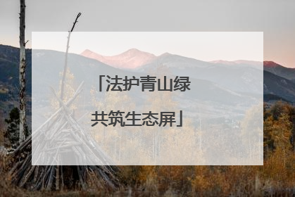 法护青山绿 共筑生态屏
