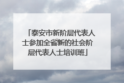 泰安市新阶层代表人士参加全省新的社会阶层代表人士培训班