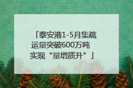 泰安港1-5月集疏运量突破600万吨 实现“量增质升”