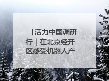 活力中国调研行｜在北京经开区感受机器人产业创新发展