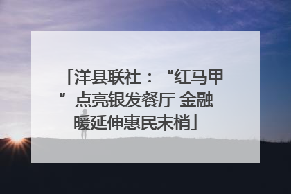 洋县联社：“红马甲”点亮银发餐厅 金融暖延伸惠民末梢