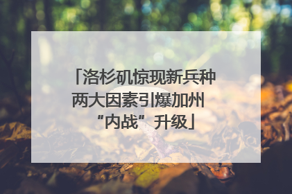 洛杉矶惊现新兵种 两大因素引爆加州“内战”升级