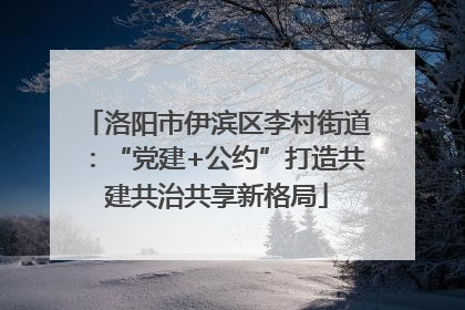 洛阳市伊滨区李村街道：“党建+公约”打造共建共治共享新格局