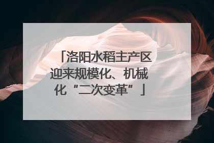 洛阳水稻主产区迎来规模化、机械化“二次变革”