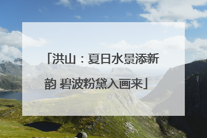 洪山：夏日水景添新韵 碧波粉黛入画来