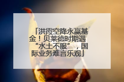洪霞空降永赢基金！贝莱德时期遇“水土不服”，国际业务难言乐观