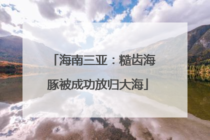海南三亚：糙齿海豚被成功放归大海