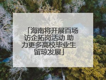 海南将开展百场访企拓岗活动 助力更多高校毕业生留琼发展