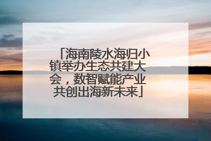 海南陵水海归小镇举办生态共建大会，数智赋能产业共创出海新未来