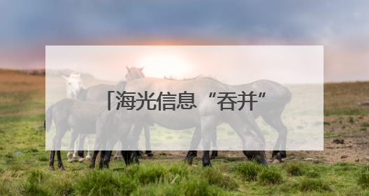 海光信息“吞并”中科曙光预案出炉 现金选择权太“鸡肋”？业内人士：企业不想大量现金流出