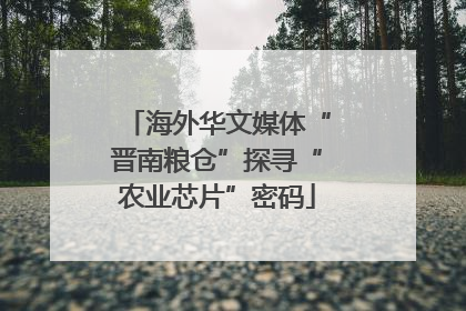 海外华文媒体“晋南粮仓”探寻“农业芯片”密码