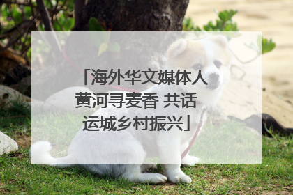 海外华文媒体人黄河寻麦香 共话运城乡村振兴