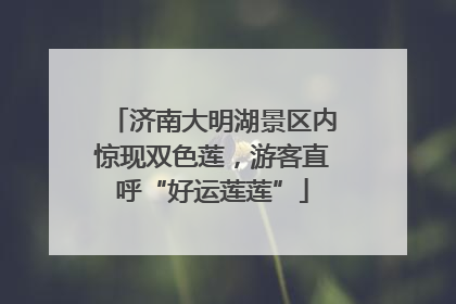 济南大明湖景区内惊现双色莲，游客直呼“好运莲莲”
