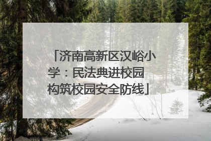 济南高新区汉峪小学：民法典进校园 构筑校园安全防线