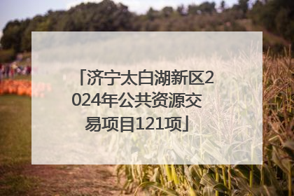 济宁太白湖新区2024年公共资源交易项目121项