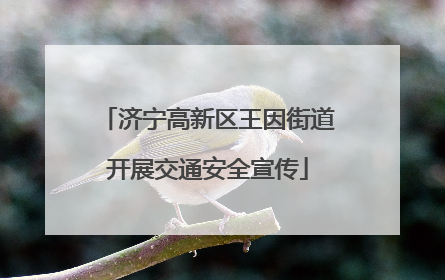 济宁高新区王因街道开展交通安全宣传