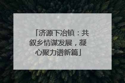 济源下冶镇：共叙乡情谋发展，凝心聚力谱新篇