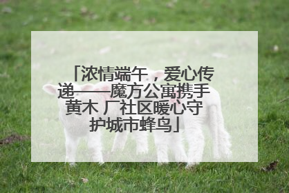 浓情端午，爱心传递——魔方公寓携手黄木 厂社区暖心守护城市蜂鸟