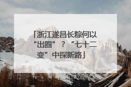 浙江遂昌长粽何以“出圈”？“七十二变”中探新路