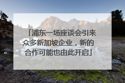 浦东一场座谈会引来众多新加坡企业，新的合作可能也由此开启