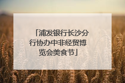 浦发银行长沙分行协办中非经贸博览会美食节