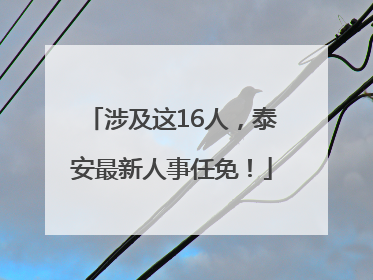 涉及这16人，泰安最新人事任免！