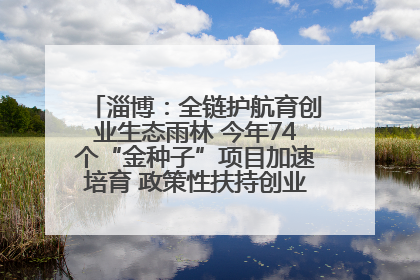 淄博：全链护航育创业生态雨林 今年74个“金种子”项目加速培育 政策性扶持创业9754人