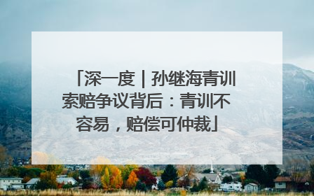 深一度｜孙继海青训索赔争议背后：青训不容易，赔偿可仲裁