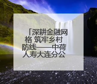 深耕金融网格 筑牢乡村防线——中荷人寿大连分公司开展金融教育网格化宣传活动
