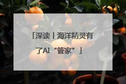 深读丨海洋精灵有了AI“管家”