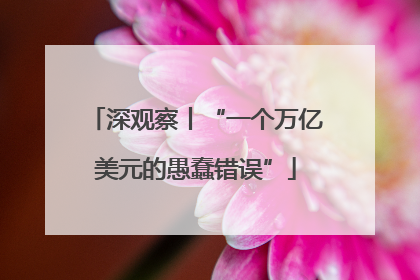 深观察丨“一个万亿美元的愚蠢错误”