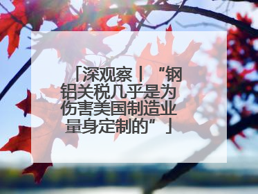 深观察丨“钢铝关税几乎是为伤害美国制造业量身定制的”