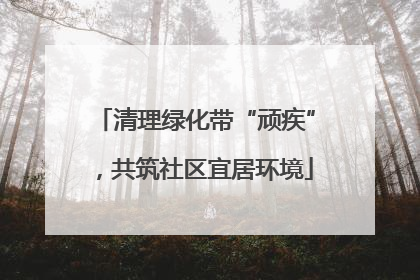 清理绿化带“顽疾”，共筑社区宜居环境