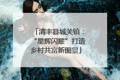 清丰县城关镇：“星辉闪耀”打造乡村共富新图景