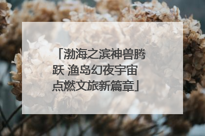 渤海之滨神兽腾跃 渔岛幻夜宇宙点燃文旅新篇章
