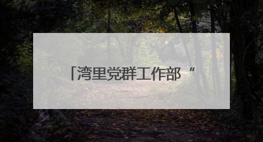 湾里党群工作部“大部制”改革：激活效能引擎，构建高效工作新格局