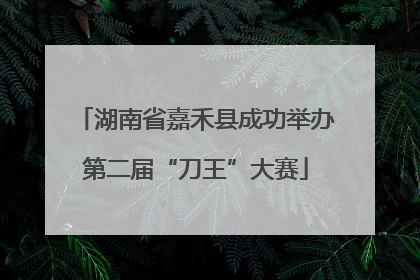 湖南省嘉禾县成功举办第二届“刀王”大赛