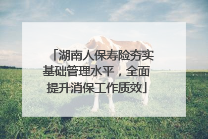 湖南人保寿险夯实基础管理水平，全面提升消保工作质效