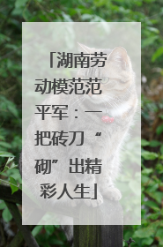 湖南劳动模范范平军：一把砖刀“砌”出精彩人生