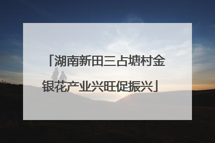 湖南新田三占塘村金银花产业兴旺促振兴
