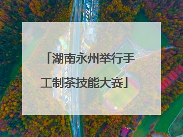 湖南永州举行手工制茶技能大赛